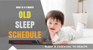 Sleep Training: A 6-Month-Old's Schedule