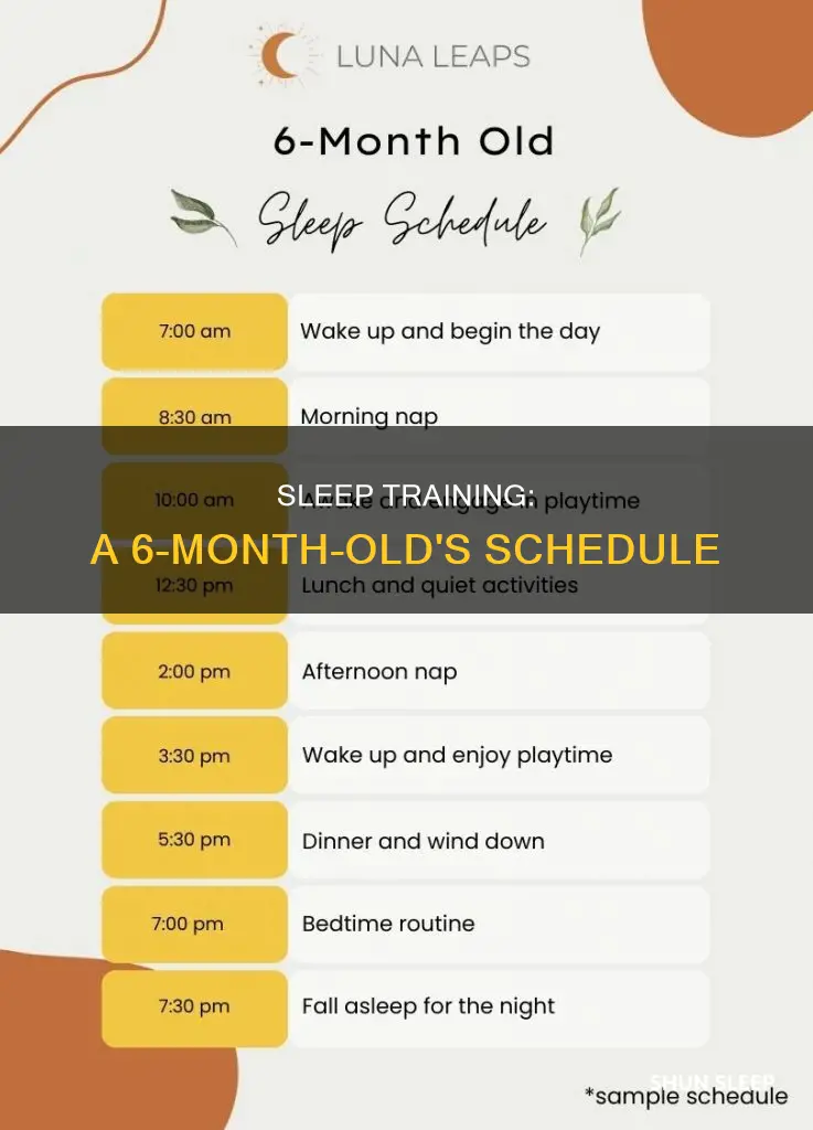 what is a 6 month old sleep schedule