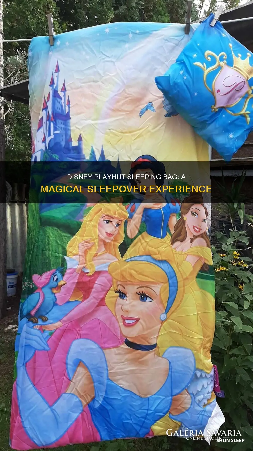 what is a disney playhut sleeping bag