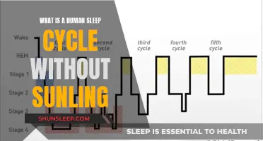 Understanding the Human Sleep Cycle Without Sunlight