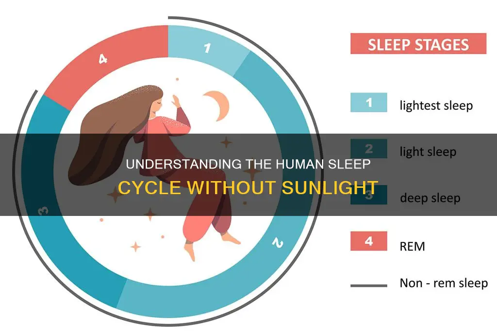 what is a human sleep cycle without sunling