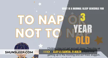 Sleep Schedules: 3-Year-Olds and Their Sleep Patterns