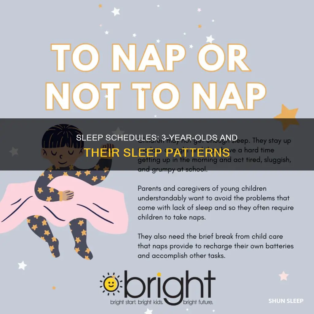 what is a normal sleep schedule for 3 year old