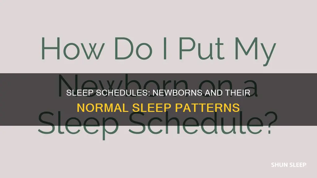 what is a normal sleep schedule for a newborn