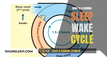 Understanding the Natural Sleep-Wake Cycle: A Guide to Normal Patterns