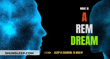 Exploring the Intriguing World of REM Dreams