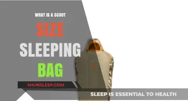 The Best Sleeping Bag for Scouts