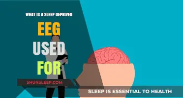 Sleep-deprived EEGs: Uncovering Brain Disorders