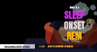 REM Sleep Onset: A Unique Sleep Disorder