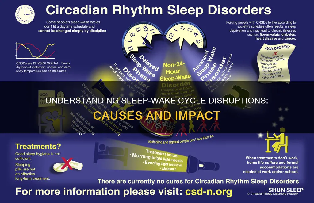 what is a sleep wake cycle disturbance