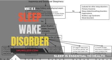 Understanding Sleep-Wake Disorders: Causes, Symptoms, and Treatment Options