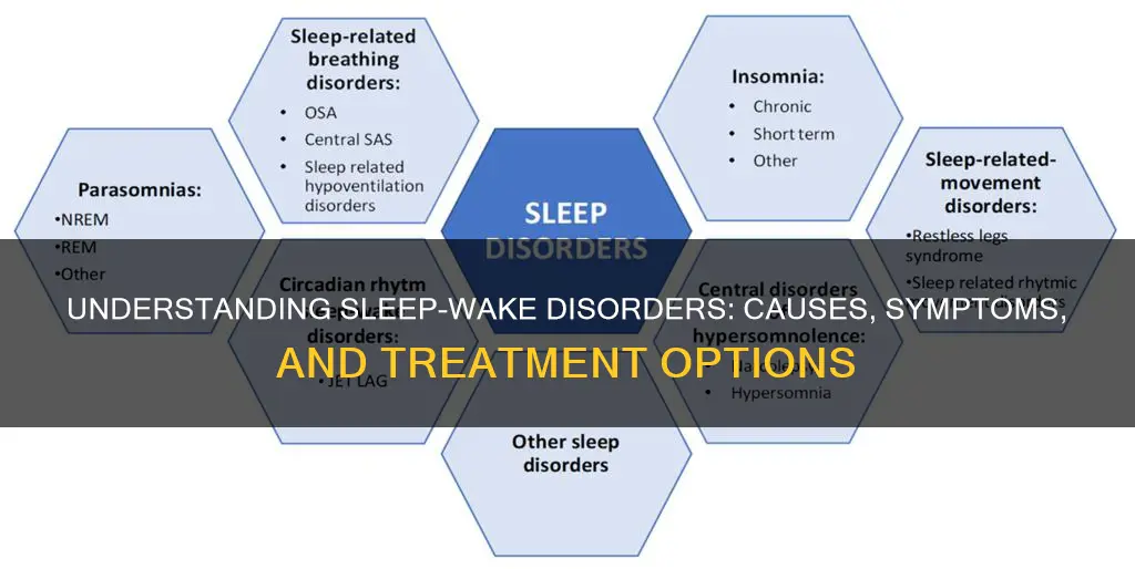 what is a sleep wake disorder