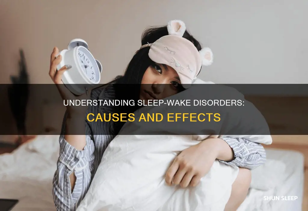 what is a sleep wake disorder