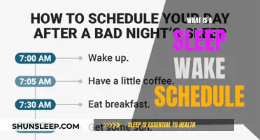 Understanding Sleep-Wake Schedules: A Guide to Healthy Sleep Patterns