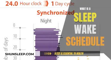 Mastering Sleep-Wake Schedules for Optimal Daily Performance