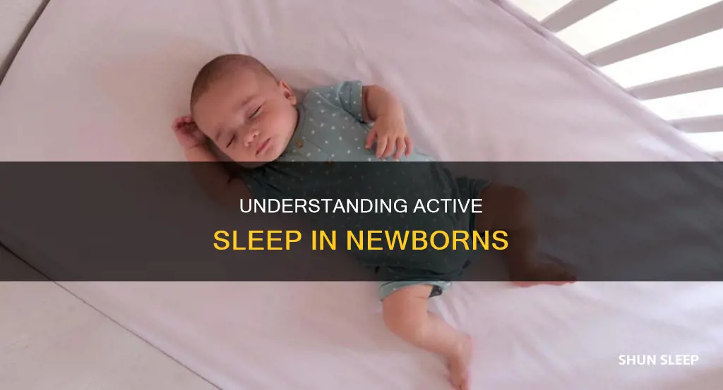 what is active newborn sleep