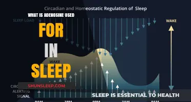 Adenosine: Sleep's Natural Sedative