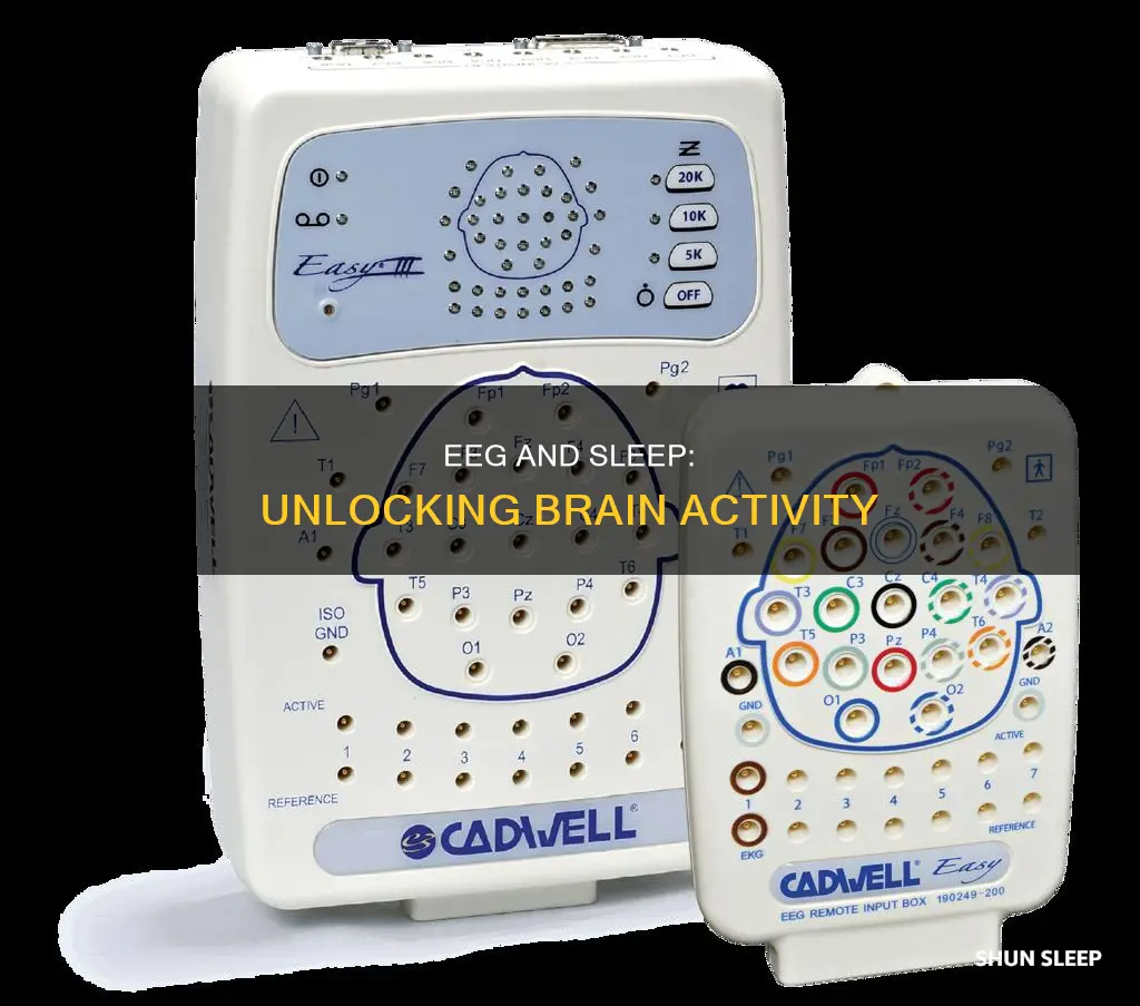 what is an eeg used for in sleep