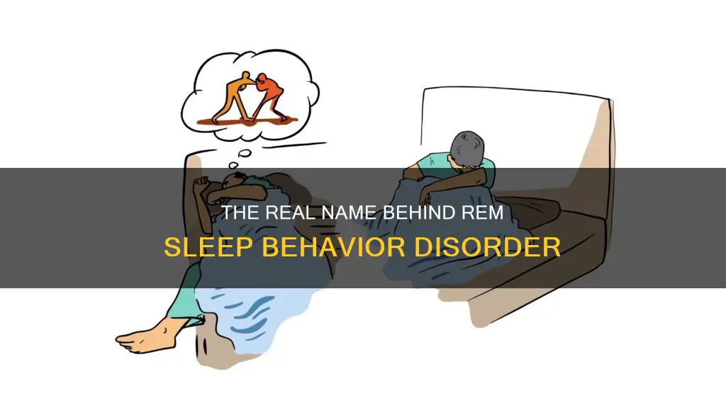 what is another name for rem sleep behavior disorder