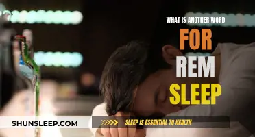 Exploring Synonyms for REM Sleep: Understanding Sleep Stages Better