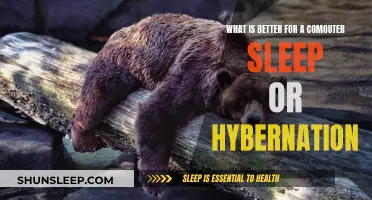 Sleep vs Hibernation: Which is the Best Option for Your Computer?