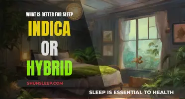 Indica vs. Hybrid: Which is Better for Sleep?