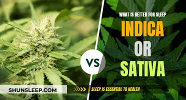 Indica vs. Sativa: Which Strain Offers Better Sleep?