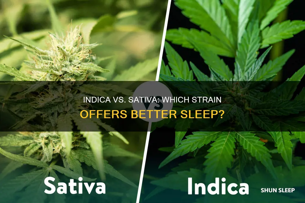 what is better for sleep indica or sativa