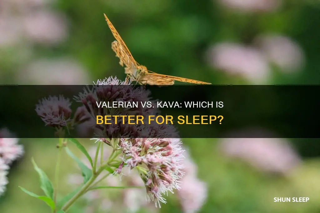 what is better for sleep valerian or kava