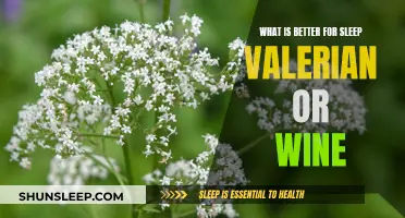 Valerian vs Wine: Which Helps You Sleep Better?
