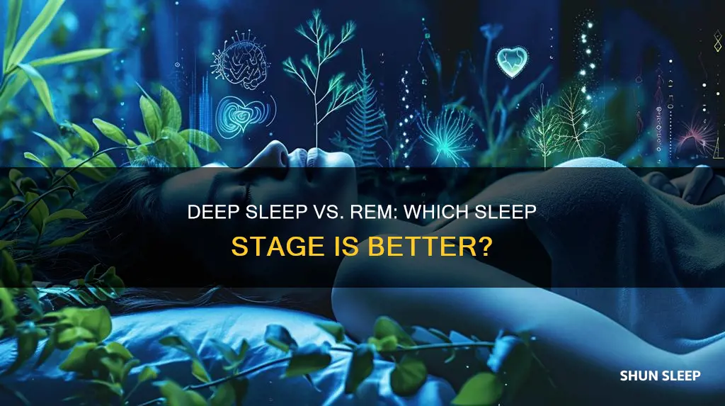 what is better for you deep sleep or rem sleep