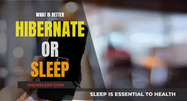 Hibernate vs Sleep: What's the Best Rest?