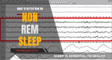 Understanding Sleep: REM vs Non-REM Explained