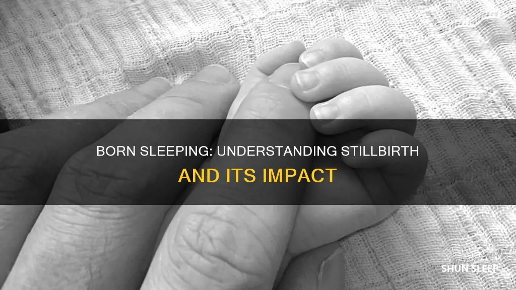 what is born sleeping mean