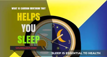 Understanding Cardian Rhythm: The Natural Sleep Aid You Need