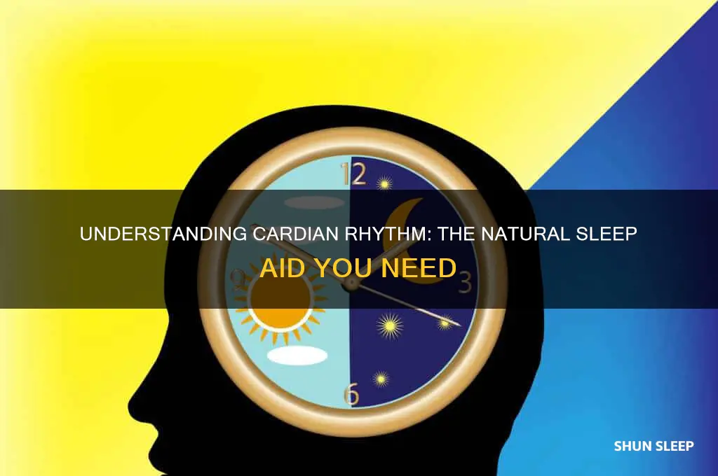 what is cardian rrhthum that helps you sleep