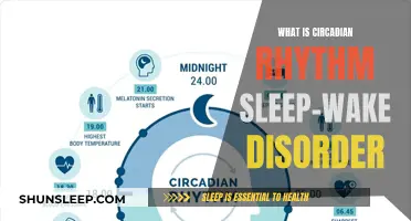 Understanding Circadian Rhythm Sleep-Wake Disorder: A Comprehensive Guide