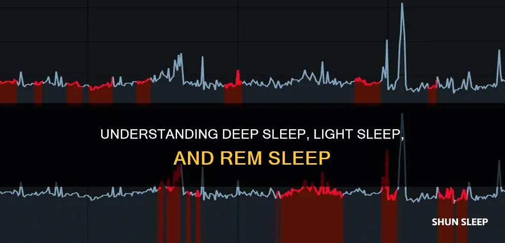 what is deep light and rem sleep