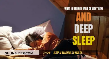 Understanding the Ideal Sleep Cycle: Light, REM, and Deep Sleep