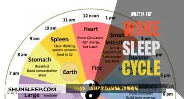 Understanding the Eat, Wake, Sleep Cycle: A Guide to Healthy Habits