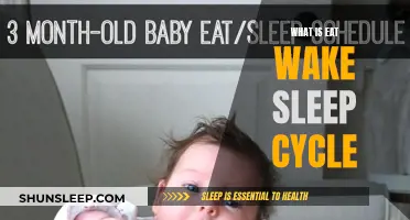 Understanding the Eat, Wake, Sleep Cycle: A Daily Routine Guide