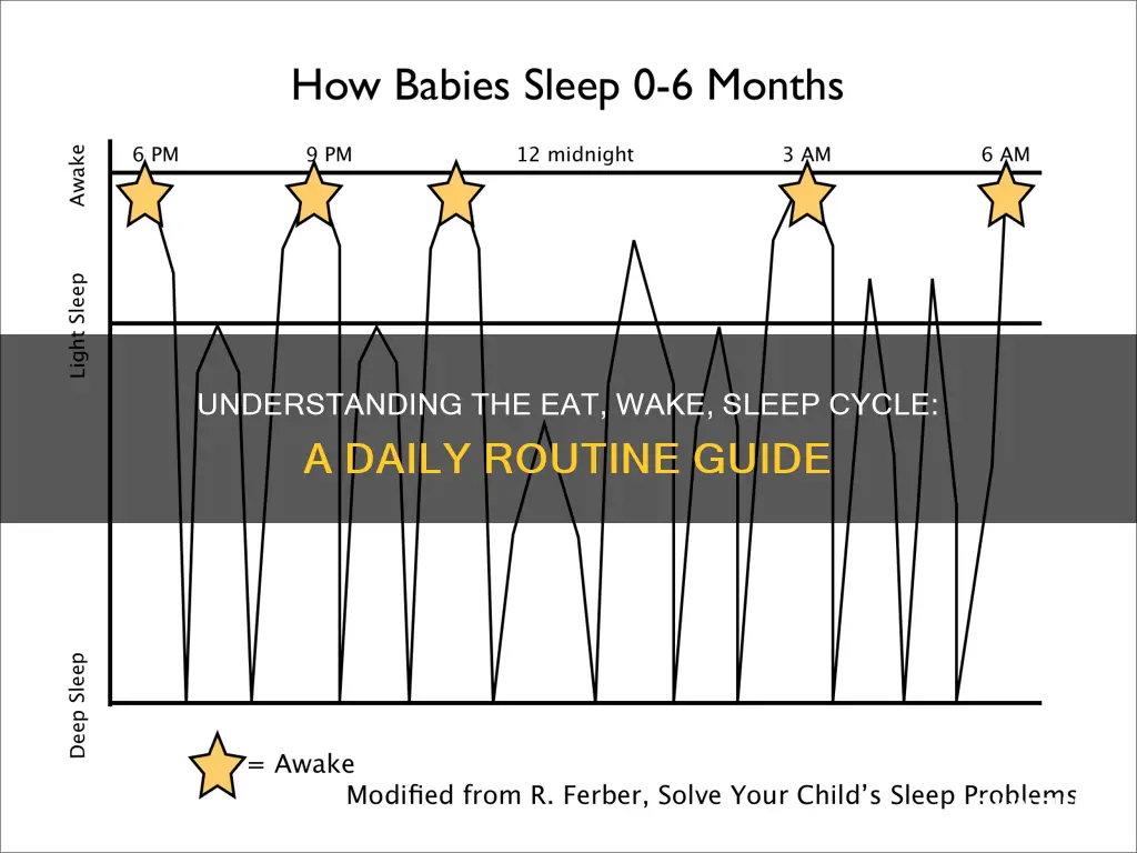 what is eat wake sleep cycle