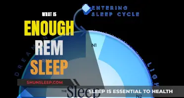 REM Sleep: How Much is Enough?