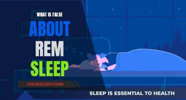 The Misconceptions of REM Sleep: What's False and Why?