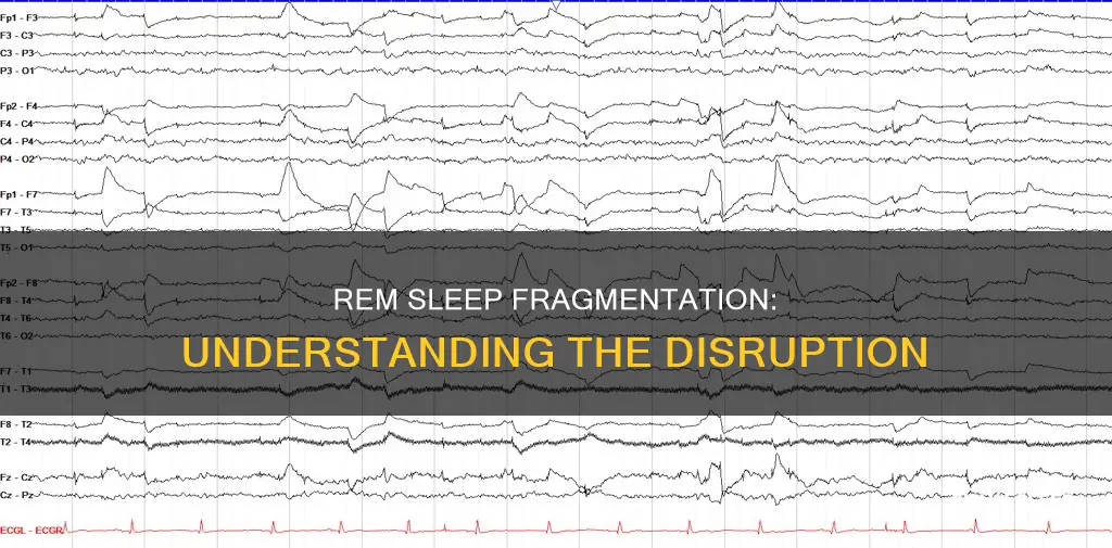 what is fragmented rem sleep