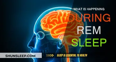REM Sleep: Unlocking the Brain's Secrets