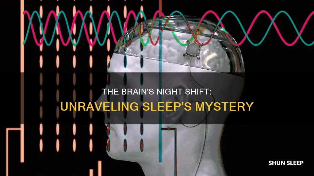 what is happening during sleep
