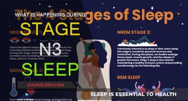 Deep Sleep: What Happens During Stage N3?