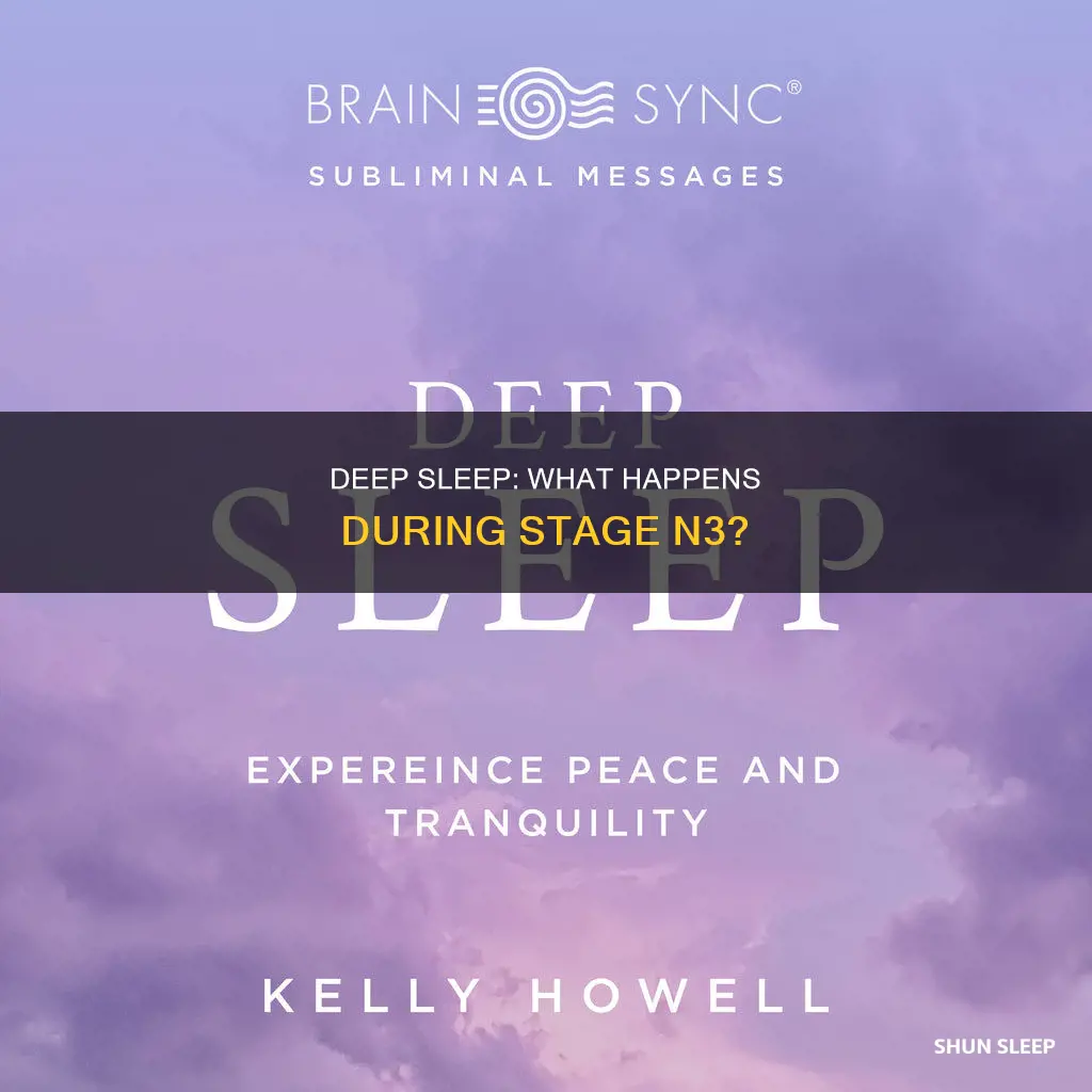 what is happening during stage n3 sleep