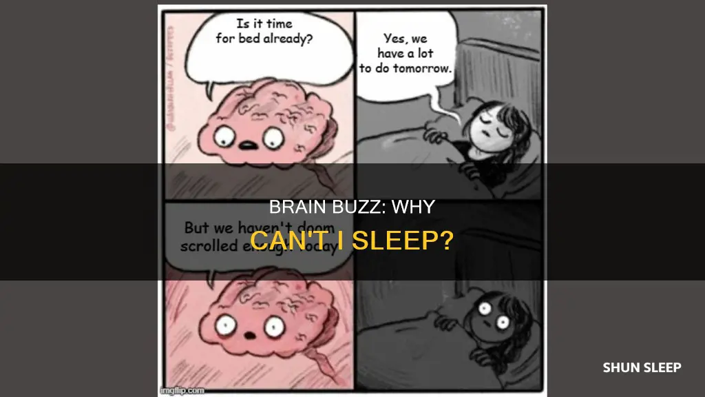 what is happening in my brain why i cant sleep
